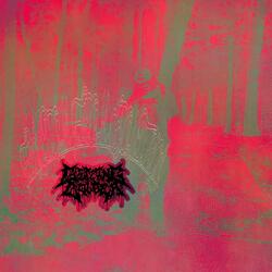 Freedom From Bondage