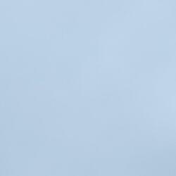 Skies