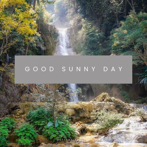 Good Sunny Day