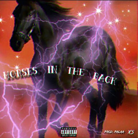 Horses in the Back