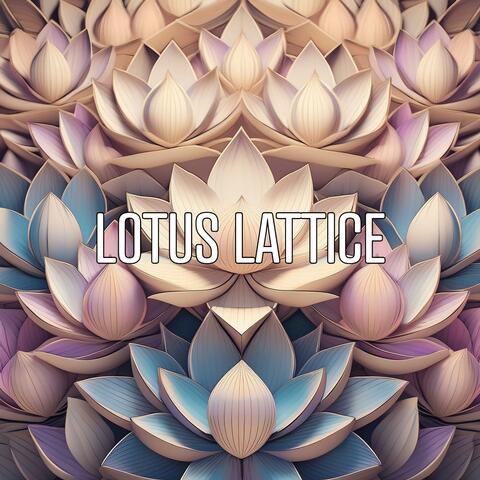 Lotus Lattice