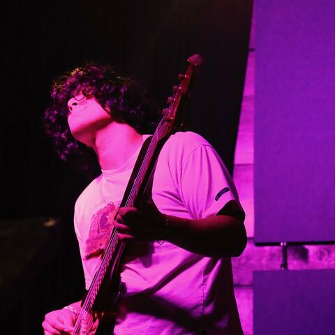 wolf spider (live at andy's)