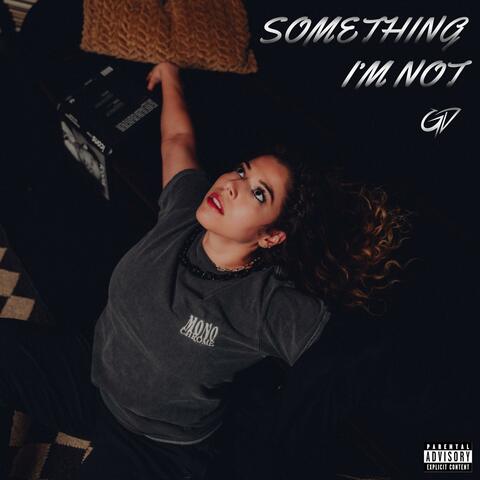 something i'm not