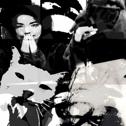 all i know (feat. trisalyx)