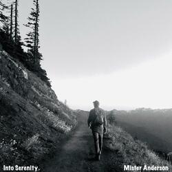 Into Serenity