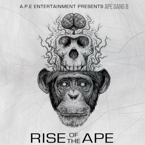 Rise of the Ape
