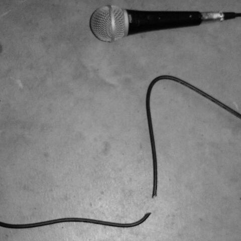 Songs I'd Like To Sing Into Your Open Mouth