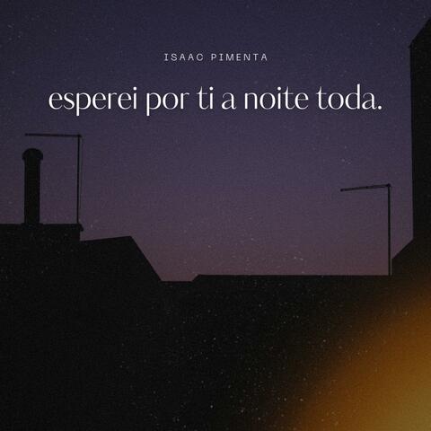 esperei por ti a noite toda.