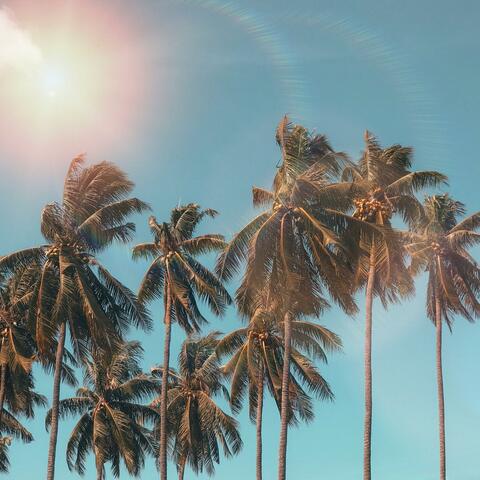 My Sunshine (Afrobeat)