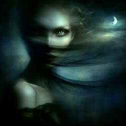 Into the Twilight
