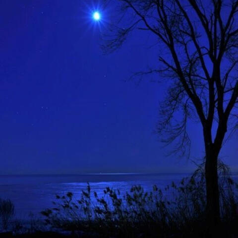 deep blue eyes (feat. seydo)