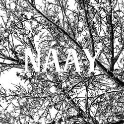 NÁAY