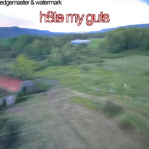 h8te my guts (feat. EDGEMASTER42)