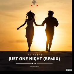 Just One Night