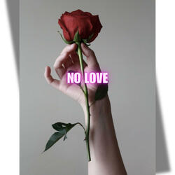 NO LOVE