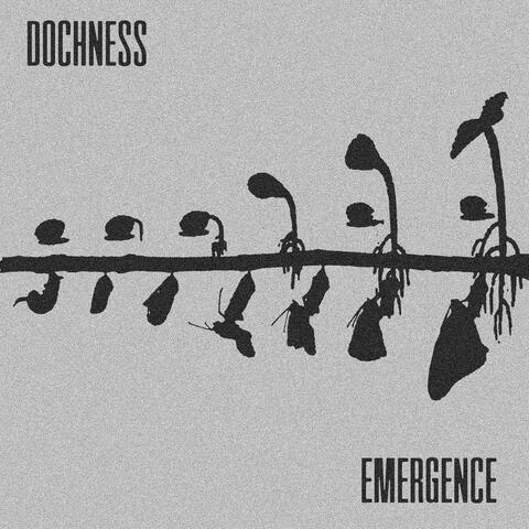 Emergence