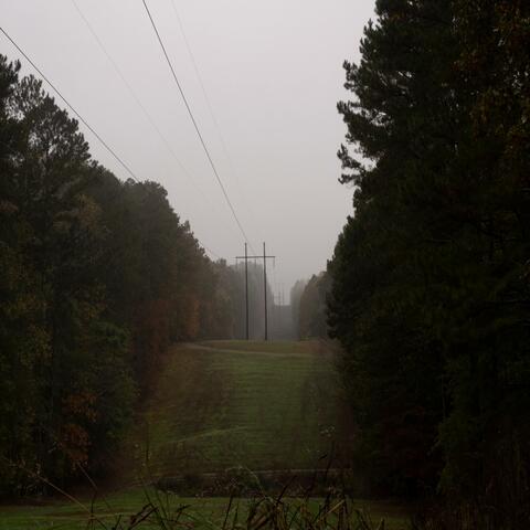 Signals From The Past