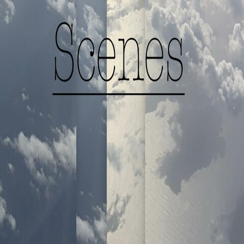 Declined Shadows Scenes