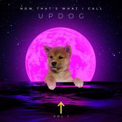 What's Updog?