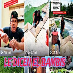 Le Dicen El Bambis