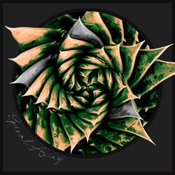 Spiral Away