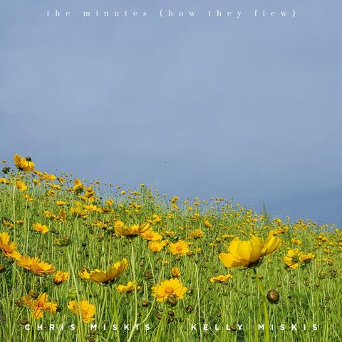 The Minutes (How They Flew)