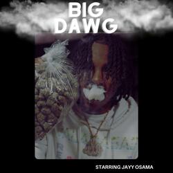 Big Dawg