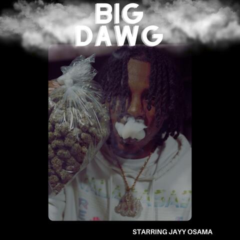 Big Dawg