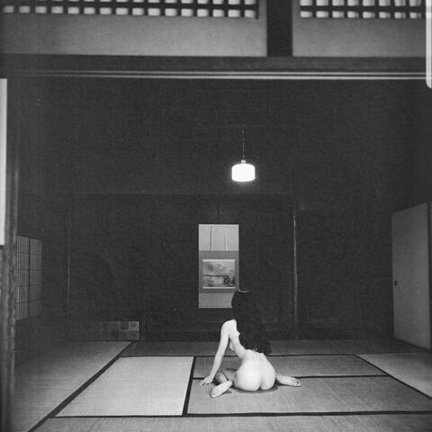 ALWAYS THE POET NEVER THE POEM