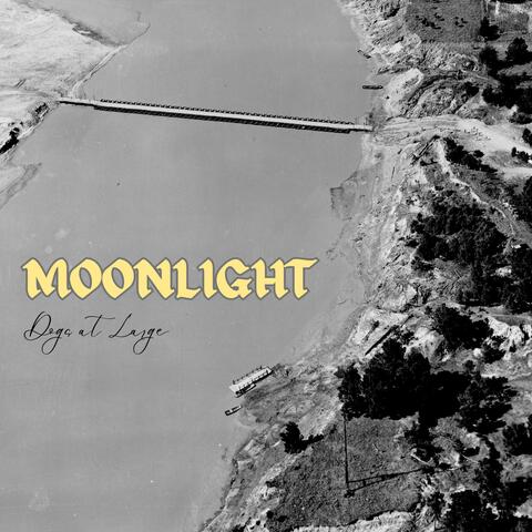 Moonlight