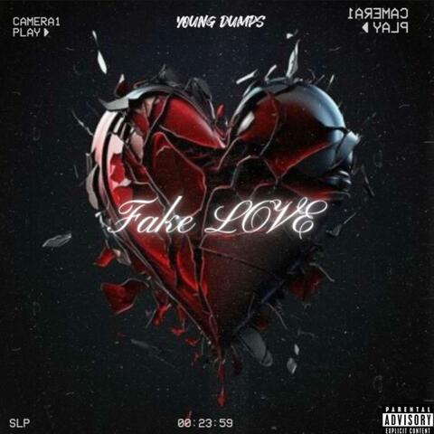 Fake Love