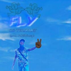 Fly