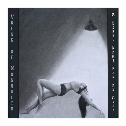 A Sorry Name for an Angel