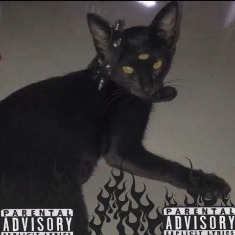 Toothless (feat. Wroverrr)