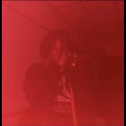 LIGHTS CAMERA ACTION