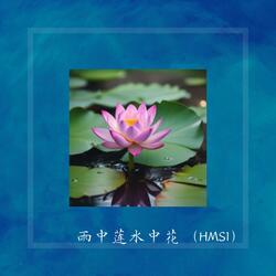 雨中莲水中花 (空灵版）