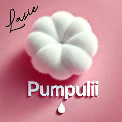 Pumpulii