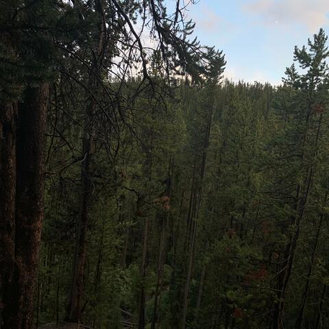 fleshrats (feat. WHXLE & Moedem)