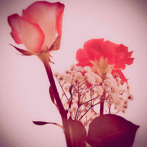 New Beginning