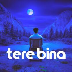 Tere Bina