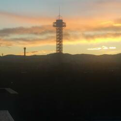 The Night You'll Never Leave