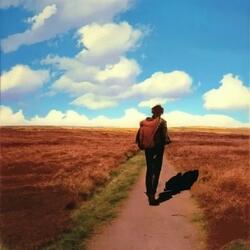 Somewhere Is Better Than Nowhere