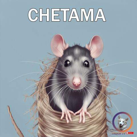 Chetama Fue Cazado