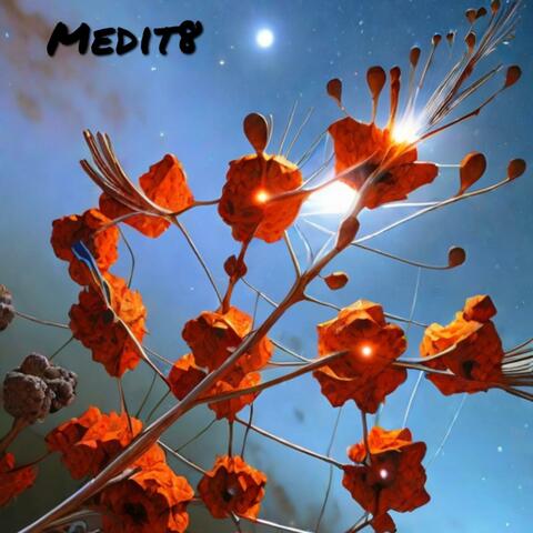 Medit8