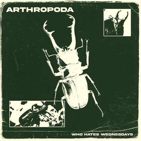Arthropoda