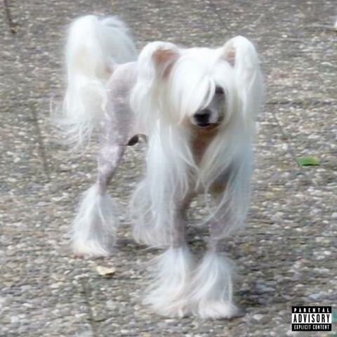Prada (feat. Divine Lohan)