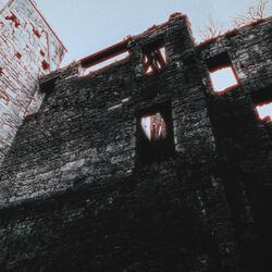 Where The Crows Go To Die