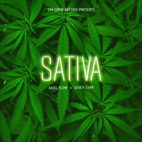 SATIVA