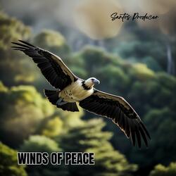 WINDS OF PEACE