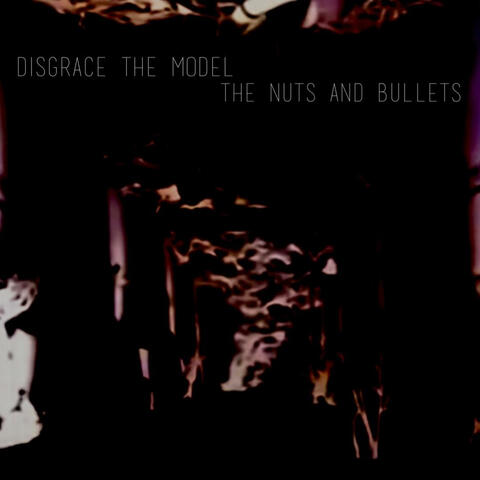 The Nuts and Bullets